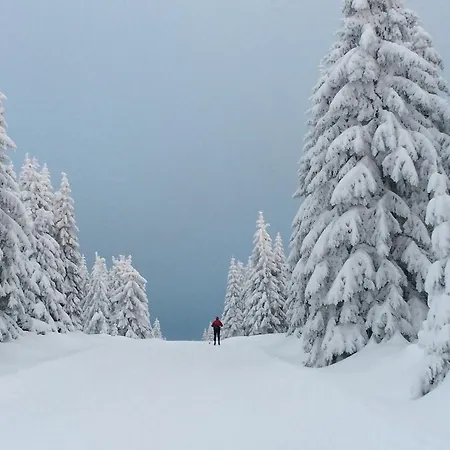 Biathlon Sport & Отель