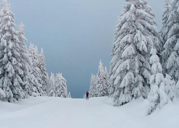 Biathlon Sport & Hotel